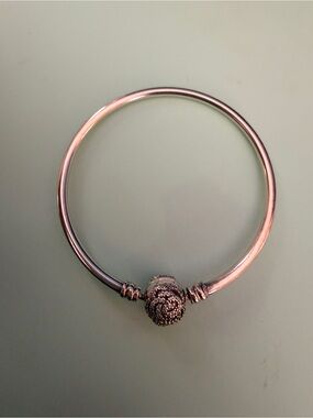 Pandora Disney Beauty & the Beast bangle- RETIRED